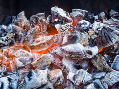 Kömürün üstünde ateş. Şiş Kebap için yangın hazırlanması. piknik. Açık rekreasyon