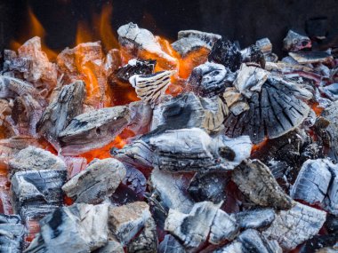 Kömürün üstünde ateş. Şiş Kebap için yangın hazırlanması. piknik. Açık rekreasyon