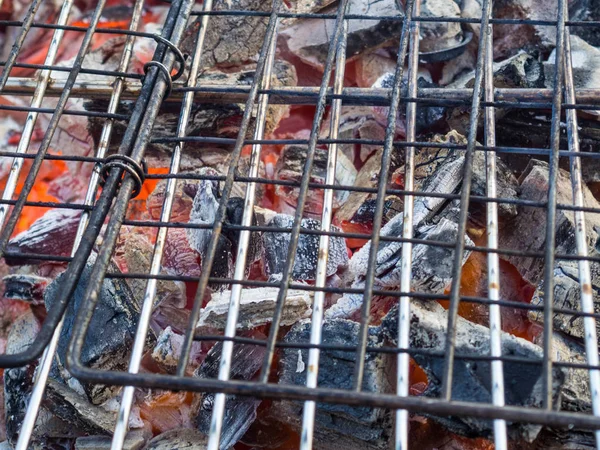 Gegrild vlees rook gerookte barbecue, buiten Relax tijd — Stockfoto
