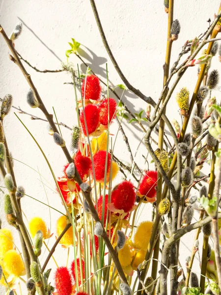 Easter concept background. Greeting card, background, easter decorations with pussy willow, selective focus