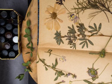 Yağlar ve kuru sağlıklı otlar, şifalı otlar şişeleri. Bitkisel ilaç. Retro tarz.