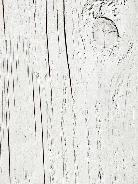 Struttura in legno bianco con motivi naturali sfondo — Foto Stock