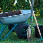 Pá, carrinho de mão na grama do jardim, com balde, conceito de jardinagem