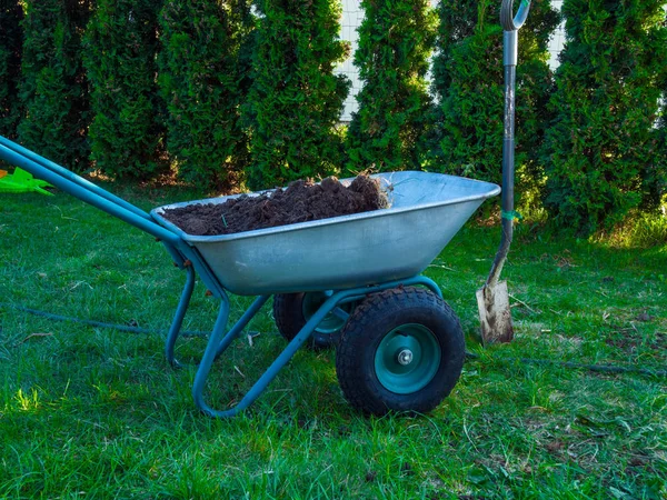 Садовая тележка для посадки пальна в саду с лопатой, зеленым деревом — стоковое фото