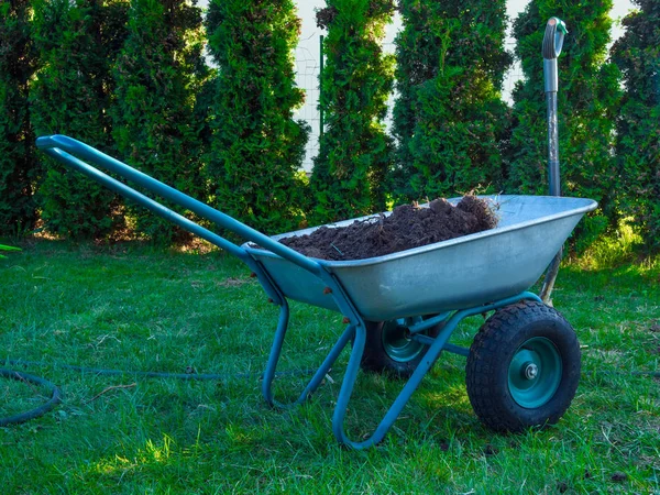 Gartenwagen zum Pflanzen von Palmen im Garten mit Schaufel, grünem Baum — kostenloses Stockfoto