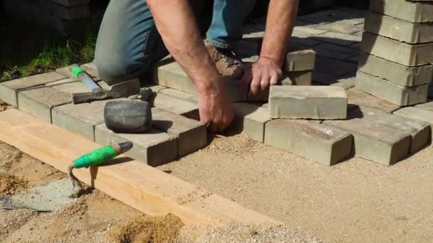 Construtor Está Colocando Pedras Pavimentação — Vídeo de Stock