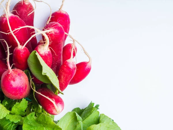 Fresh bunch of radish on white table — Stock Photo, Image