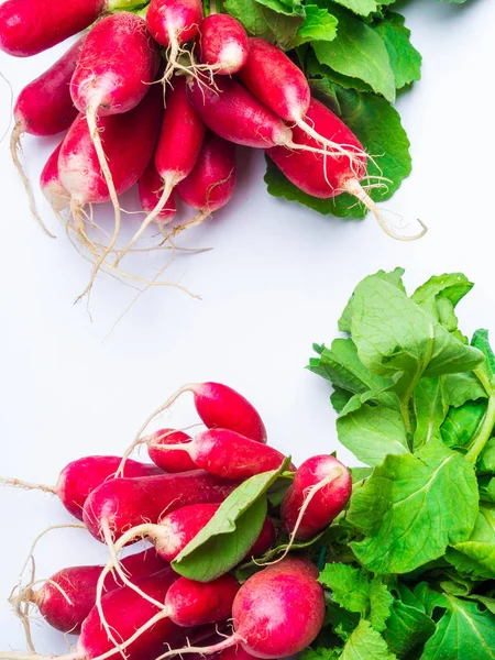 Fresh red radish isolated on white background — Stock Photo, Image