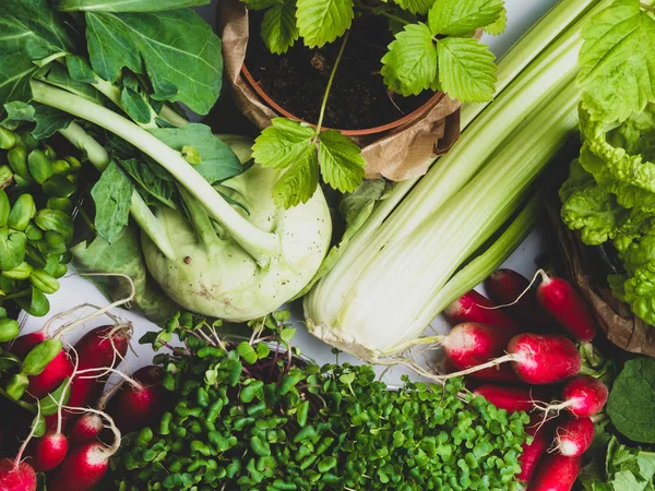 Assorted organic fresh vegetables close up — Stock Photo, Image