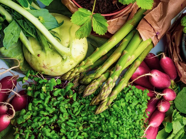 Composition with variety of raw organic vegetables. Balanced diet — Stock Photo, Image