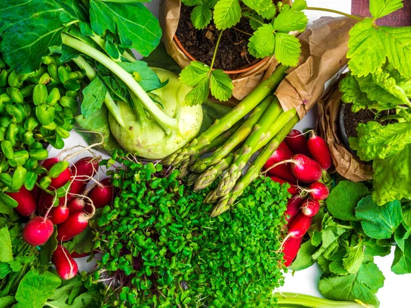 Composition with variety of raw organic vegetables. Balanced diet — Stock Photo, Image