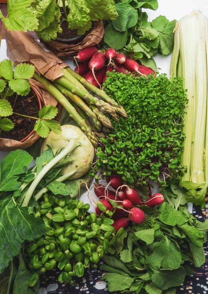 Arrangement of different tasty vegetables background. Healthy Food Concept. Harvest — Stock Photo, Image