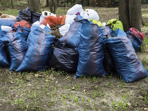 volunteering, charity, cleaning, people and ecology concept - garbage bags cleaning area in park