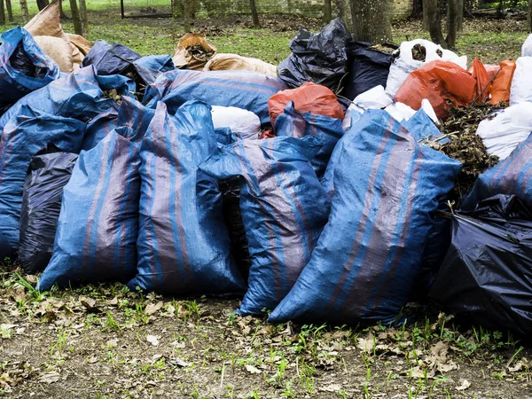 Bénévolat, charité, nettoyage, personnes et concept d'écologie - sac poubelle aire de nettoyage dans le parc — Photo