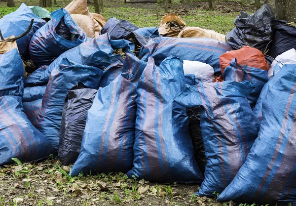 volunteering, charity, cleaning, people and ecology concept - garbage bags cleaning area in park