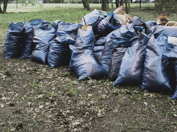 Bénévolat, charité, nettoyage, personnes et concept d'écologie - sac poubelle aire de nettoyage dans le parc — Photo