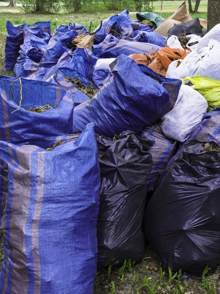 Ramasser les ordures pour le nettoyage au parc, sac poubelle sur le parc, concept bénévole — Photo