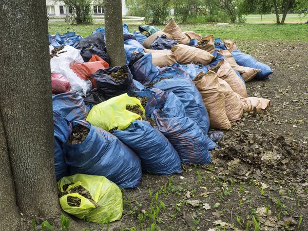 color plastic bags of garbage are on the Playground in the spring outdoors. Environmental protection, garbage collection