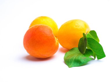 kayısı beyaz arka plan kopyalama alanı izole