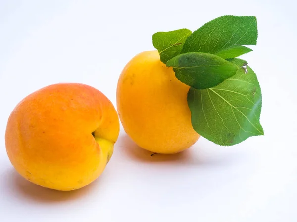 Apricots isolated on white background — Stock Photo, Image