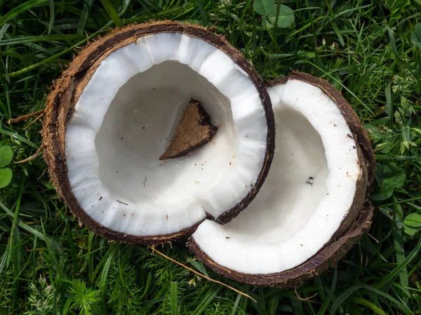 Napůl rozbité kokosové ořechy na trávě — Stock fotografie