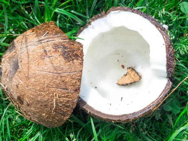 Nakrájený kokosový ořech s mléčným kokos ve tvaru srdce z kůry na trávě — Stock fotografie