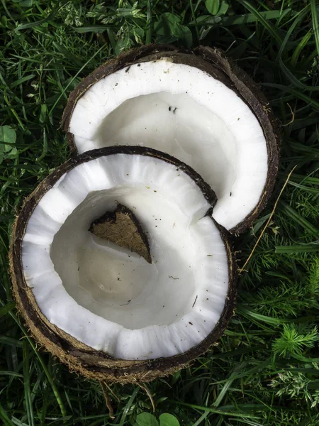 Połamany orzech kokosowy na trawie i symbol serca — Zdjęcie stockowe
