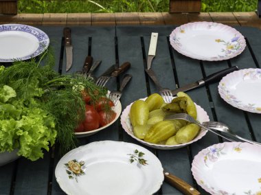 Yaz veya bahar piknik açık havada hazırlanan sağlıklı gıda. Taze sebzeler, salata, dereotu.