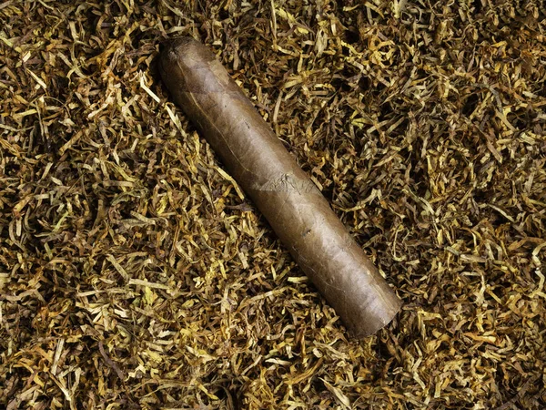 cigar on tobacco leaves