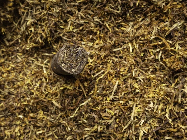 Cuban cigar on tobacco background, macro, selective focus — Φωτογραφία Αρχείου