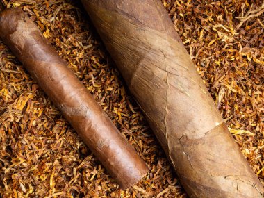 İki yığın Küba puro üzerinde tütün Leafs artalanları