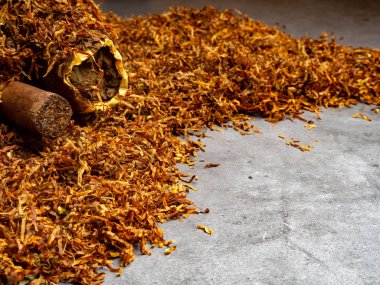 Cuban cigars and tobacco background