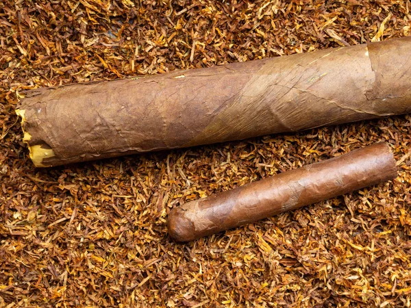 Δύο στοίβα κουβανέζικα πούρα σε φύλλα καπνού πίσω — Φωτογραφία Αρχείου