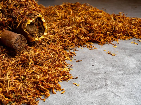 Cuban cigars and tobacco background