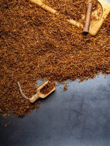 Tütün dokusu. Yüksek kaliteli kuru kesim tütün yaprağı, yakın çekim, arka plan — Stok fotoğraf