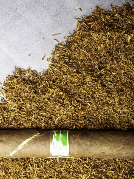 烟草和豪华雪茄背景堆,复制空间 — 图库照片