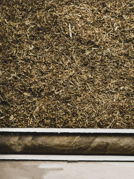 Lüks puro güçlü, tütün arka planda izole — Stok fotoğraf