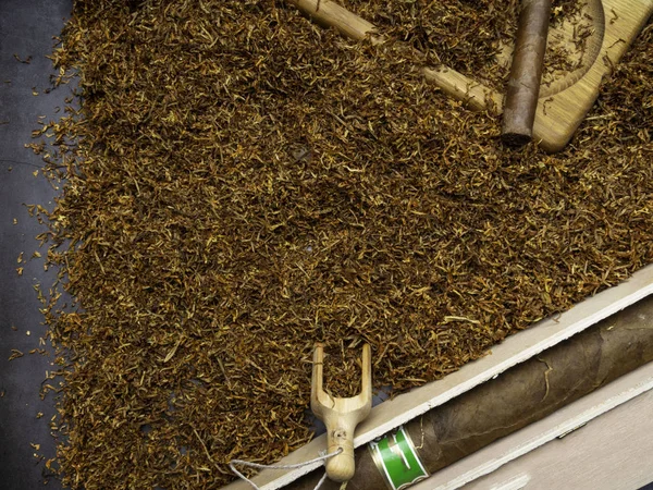 Luxuty büyük ahşap kutu, ve küçük puro üzerinde kuru tütün Leafs — Stok fotoğraf