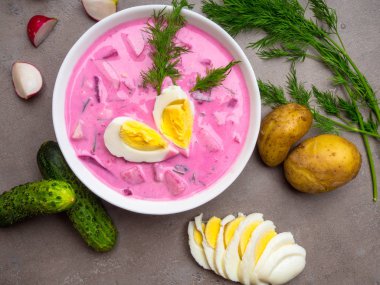 salatalık, scallions ile lezzetli soğuk yoğurt Pancar çorbası, dilim ve kase içinde dereotu kesilmiş haşlanmış yumurta ile süslenmiş turp