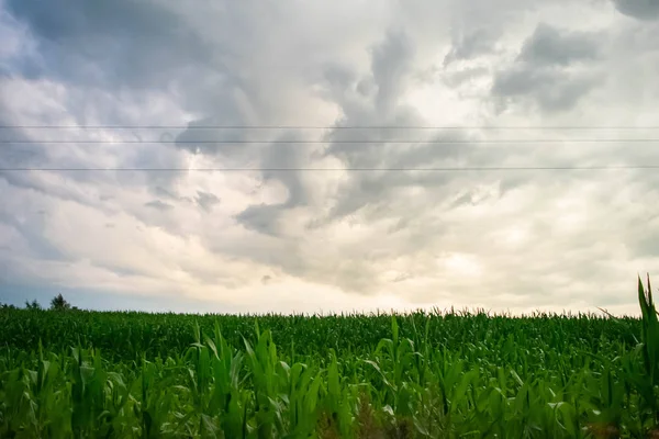 Paisaje rural dramático, Antes de la tormenta en el campo — Foto de stock gratis