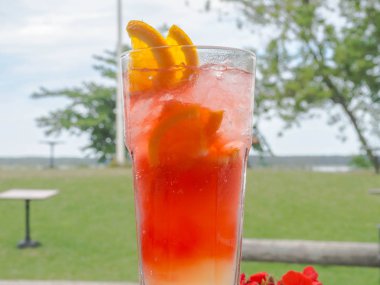 Buz, limon, portakal ile kırmızı coctail Cam