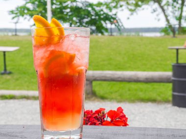 Limon ve portakal dilimleri ile kırmızı coctail ve buz küpleri