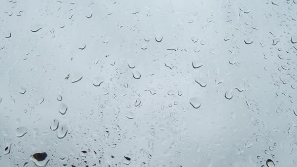 閉じるガラス上の水滴のアップ 離れて行く 夏のシャワーの間に大きな雨滴が窓ガラスを打つ — ストック動画