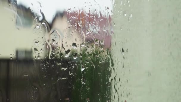 빗방울이 창아래로 흐려진 떨어지는 빗방울이 아래로 내리고 흐릿한 — 비디오