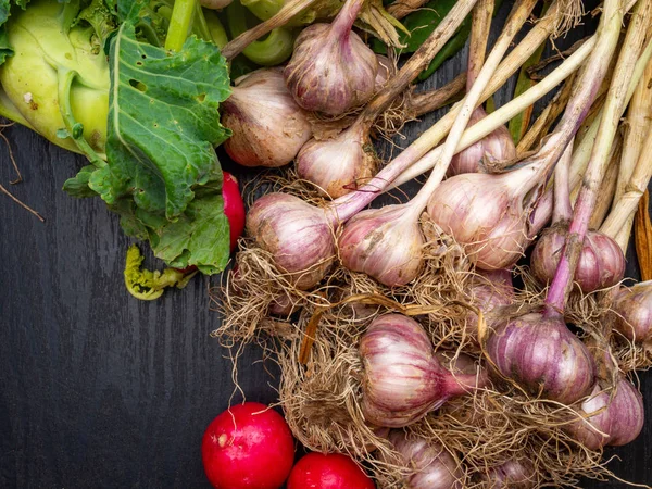 Fresh radish, garlic, kohlrabi. Autumn harvest. Vegan food, Superfood — Stock Photo, Image