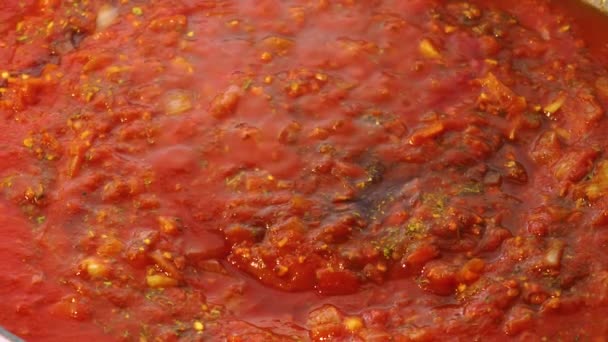 Tomato Sauce Vegetables Boils Gurgles Cooking Closeup — Stock Video