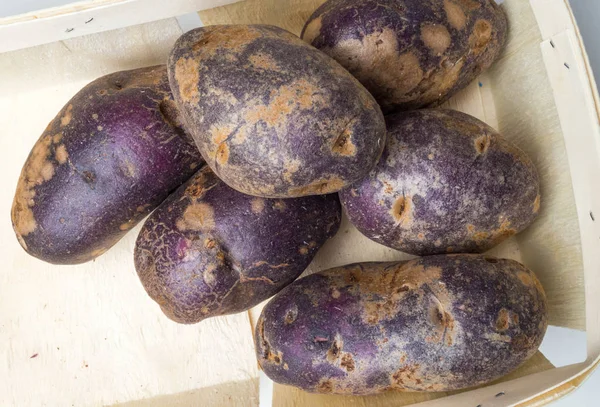 Batatas orgánicas recién cosechadas en caja de madera. La batata contiene fibra insoluble que puede ayudar a aliviar el estreñimiento . — Foto de Stock