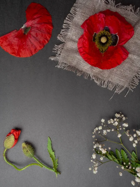 Bouquet of red poppies and white little flowers on a black background. Wild flowers. — Free Stock Photo