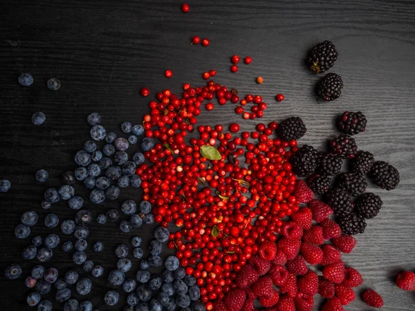 super antioxidants. superfood. mix of fresh berries, rich with resveratrol, vitamins, raw food ingredients. nutrition background, nutrient-rich foods are good for your heart and brain