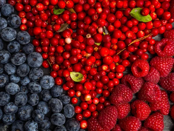Background made of raspberry, blueberry, cranberry. Top view. High resolution product, rich in vitamin and antioxidants, summer berries concept — Stock Photo, Image